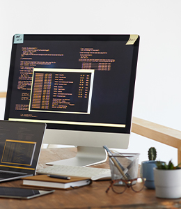Website Development